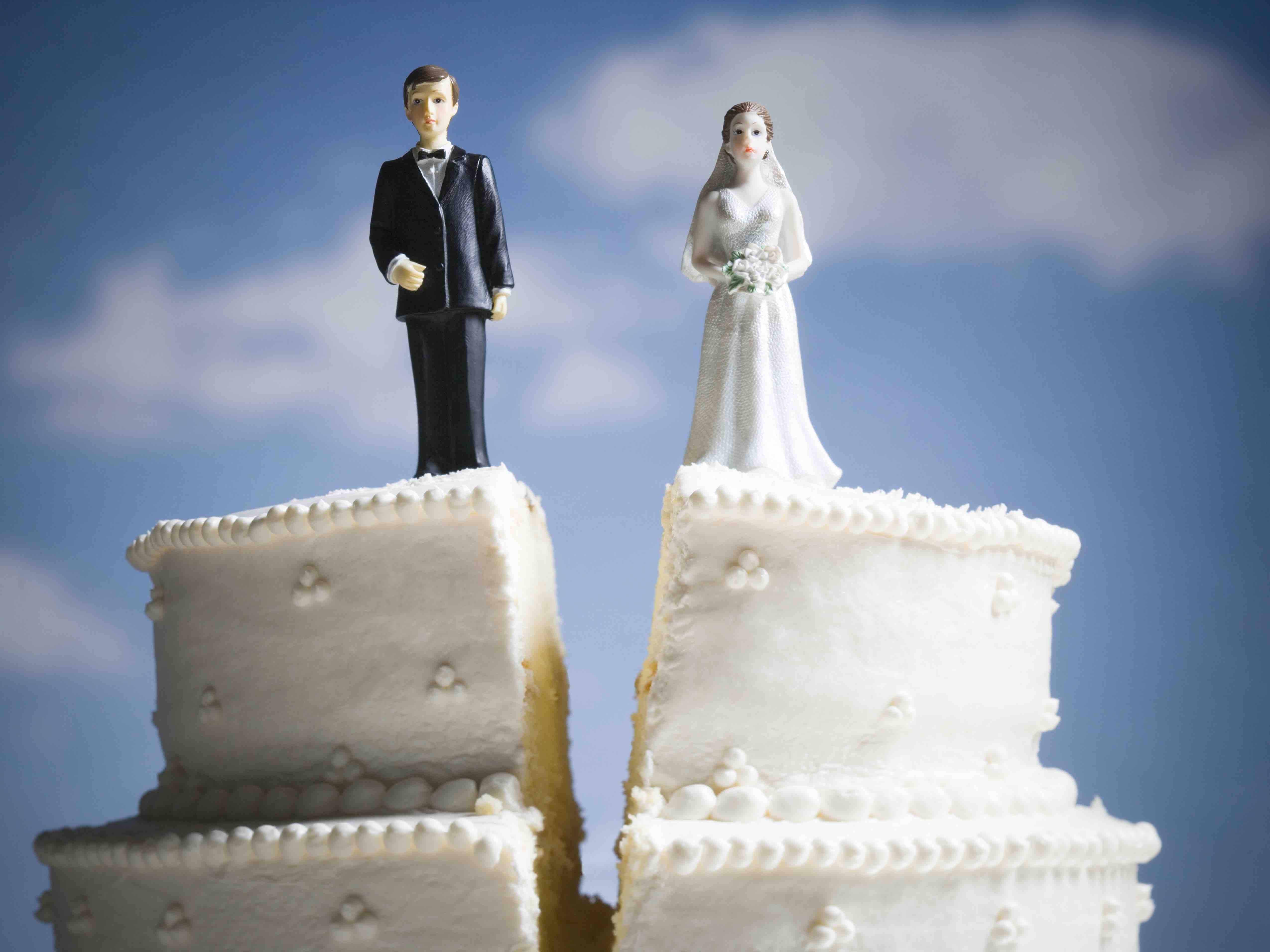 Невеста по ошибке забудь о разводе