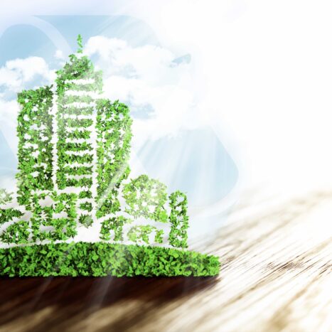 myLife photo article